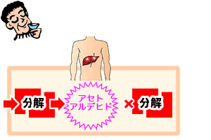 二日酔いの原因